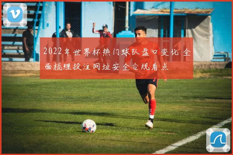 2022年世界杯热门球队盘口变化 全面梳理投注网址安全合规看点