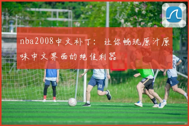 nba2008中文补丁：让你畅玩原汁原味中文界面的绝佳利器
