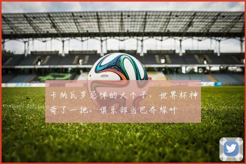 卡纳瓦罗忌惮的大个子，世界杯神奇了一把，俱乐部当巴乔绿叶