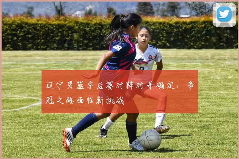 辽宁男篮季后赛对阵对手确定，争冠之路面临新挑战