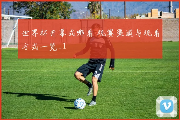 世界杯开幕式哪看 观赛渠道与观看方式一览_1