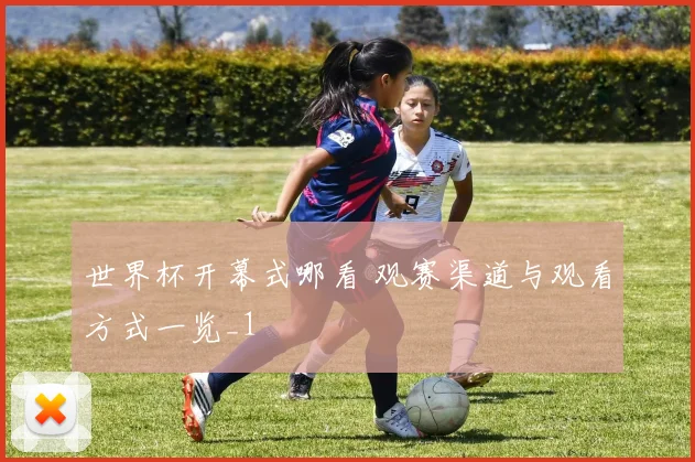 世界杯开幕式哪看 观赛渠道与观看方式一览_1